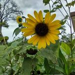 Mary Wetherbee - @mary.wetherbee.14 - Instagram