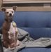 Maritza Whetzel - Facebook