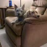 Mary Whitlow - @emmyparks50 - Instagram