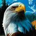 Mary Whitmer - Facebook