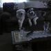 Mary Whitmer - Facebook