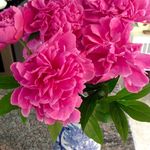 Mary Wicklund - @marywicklund - Instagram