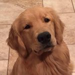 Mary Janet Widmann - @widmannmary - Instagram