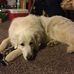 Mary Widmann Poeschel - Facebook
