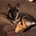 Marie Wiesner - Facebook