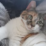 Mary Wiesner - @mawiesner - Instagram