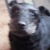 Mary Wight - Facebook