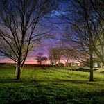 Mary Wight - @emme247365 - Instagram