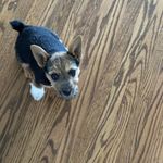 Mary Wigle - @wiglemary - Instagram