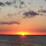 Evan Mary Ann Wigmore - @wigman65 - Instagram