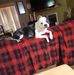 Mary Wilbourn - Facebook
