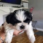 Mary Wilbur - @mary_wilbur12 - Instagram