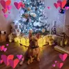 Marion Willcox - @marion.willcox0 - TikTok