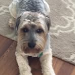 Mary Willcutt - Facebook