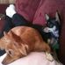 Mary Little-Winberg - Facebook