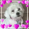 marywinegarner - @marywinegarner - TikTok