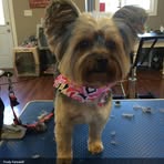 Marie Wiscombe - Facebook