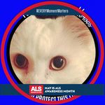 Mary Klaus Wittmeyer - @mkksugar - Instagram