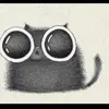 Mary Wittwer - @mary.wittwer - TikTok