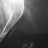 Mariwy Xcom - @mariwy.xcom - TikTok