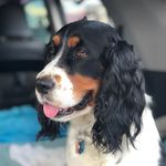 Mary wojnar - @wojnarmary - Instagram