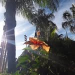 mary woolfolk - @sumwool14 - Instagram