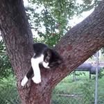 Mary Woolridge Duncan - @marycat1963 - Instagram