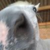 marydewulf - @marydewulf - TikTok