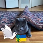 Mary Pinnell Wulff - @wulffmary - Instagram