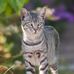 Mary Wulff - Facebook