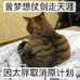 Mary Xue - Facebook
