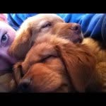 Mary Garwood Yancy - @mgyancy - Instagram