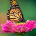 Mary Yankowski - Facebook
