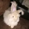 maryyerby6 - @maryyerby6 - TikTok