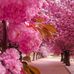 Mary Ying Ying Ying - Facebook