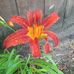Mary Yonkey - Facebook