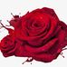 Mary J Youngquist - Facebook
