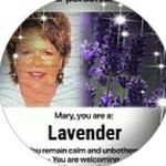 Mary Youngquist - @beyoung52_ - Instagram