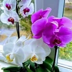 Mary Yule - @mary.yule - Instagram