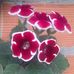 Mary Yule - Facebook