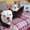 Mary Yule - @mary.yule - TikTok
