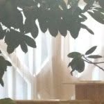 Mariyam_ - @maryzackx - Instagram
