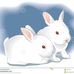 Marianne Sibley - Facebook