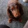 maryzelinski55 - @maryzelinski55 - TikTok