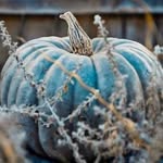 Mary Zerr - @mary_tall1 - Instagram