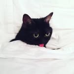 Мария Зыкова - @mary_zickowa - Instagram