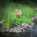 Mary Zickefoose Boyle - @maryzickefooseboyle - Instagram