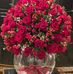 Maria Zwick - Facebook