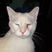 Mary A Johnson - Facebook