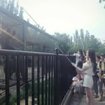 Maryam Smith - @maryamsmith517 - Instagram